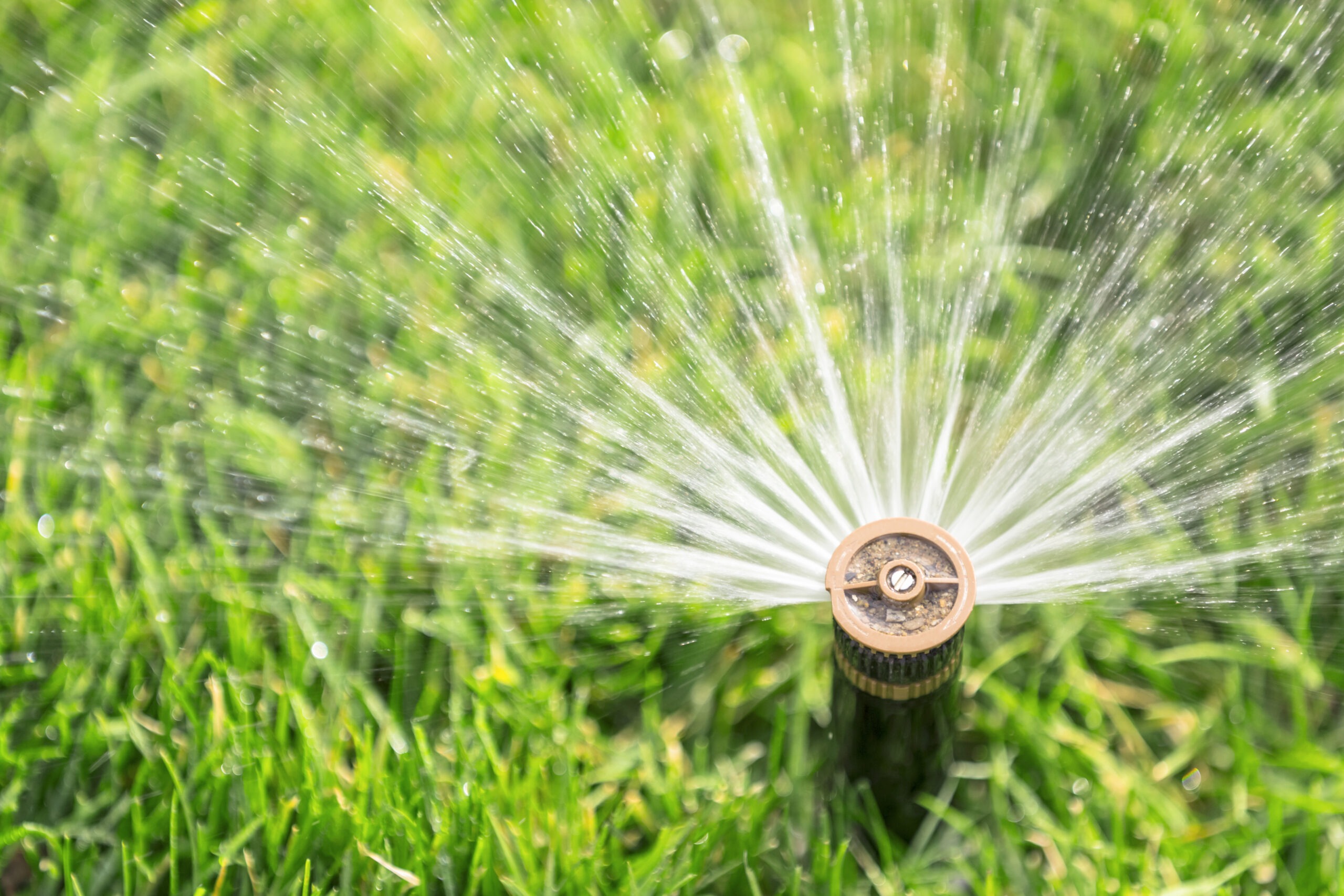 Lawn sprinkler spraying water onto lush green grass